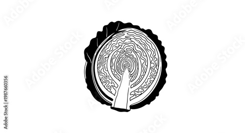 Minimalist Black and White Halved Cabbage Vector Illustration