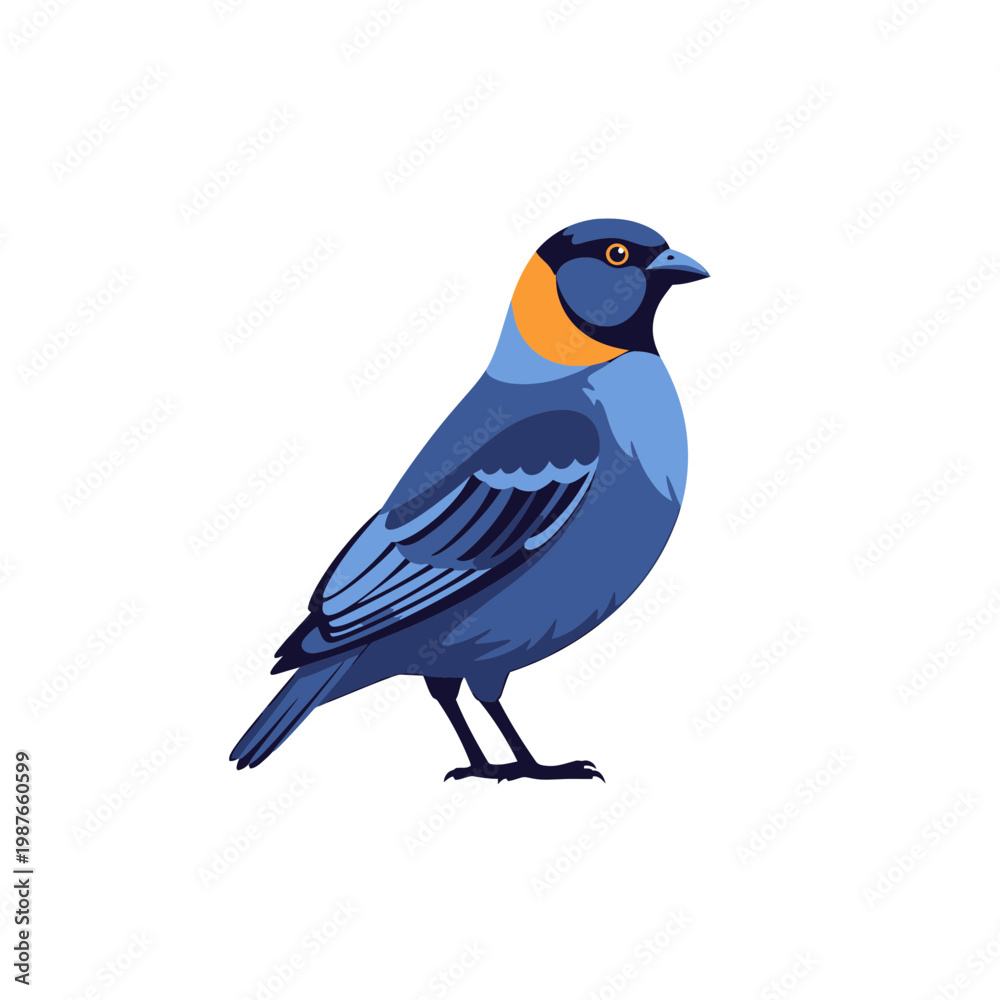 Obraz premium Vector Illustration of a Blue Songbird with Orange Eye Patch