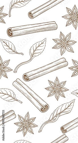 Illustration of Cinnamon Sticks and Star Anise with Leaves