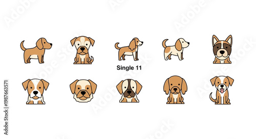 Cute Vector Dog Illustration Set with Different Breeds