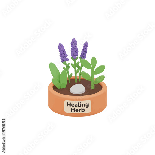Potted Lavender and Medicinal Healing Herbs Vector Illustration