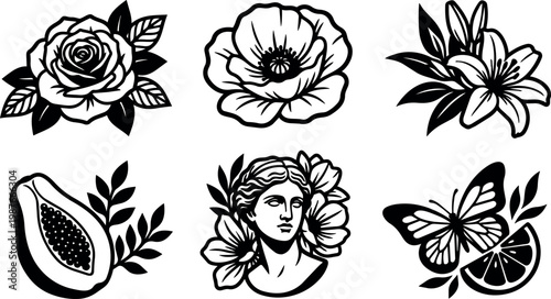 Black and white floral rose poppy lily papaya butterfly and classical bust vector art