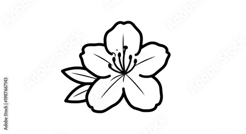Minimalist Cherry Blossom Flower Outline Vector Illustration