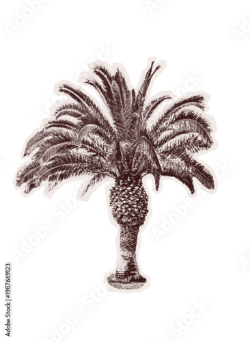 Trendy Halftone sticker mimicking collage torn out old newspaper. Vector Isolated Y2K pop art element with Retro grain dotted texture transparent background. Cut out vintage palm tree decoupage dot
