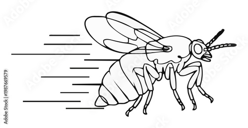 Minimalist flea insect line art macro vector illustr.... Generative AI