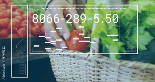 Reaching shopper hand picking red tomato at market with wicker basket lettuce sleeve number overlay
