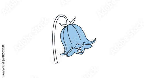 Bluebell flower vector illustration isolated on white background