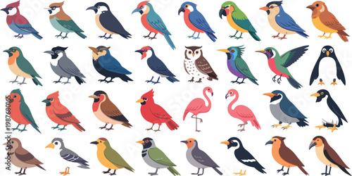 Big set of colorful birds with flying wildlife characters, exotic fauna collection featuring woodpecker, flamingo and goose vector illustration