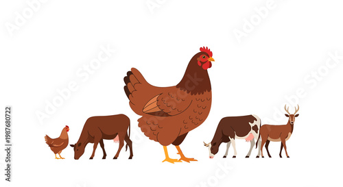 Set of Farm Animals and Wildlife Vector Illustration