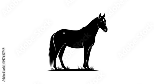 Black Horse Silhouette Standing in Grass Vector Illustration