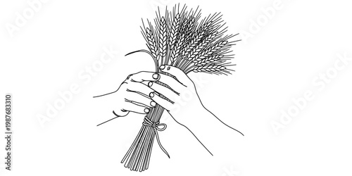 A detailed black and white line drawing of a pair of hands holding a freshly harvested wheat sheaf