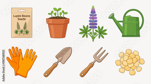 Lupini beans gardening tools and plants illustration set