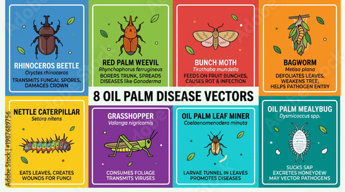 Oil palm disease vectors infographic with eight insects
