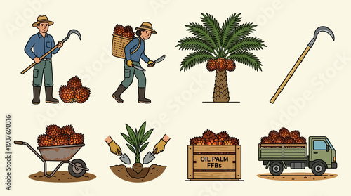 Palm oil harvesting workers with tools and trucks transporting oil palm fruits