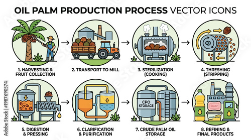 Oil palm production process steps vector icons illustrating harvesting, fruit collection, transport, sterilization, threshing, digestion, clarification, storage, refining