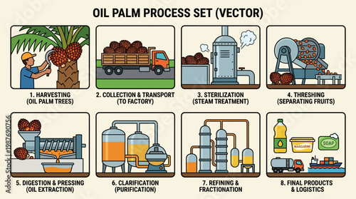 Detailed vector illustration depicting the entire industrial process of producing palm oil, from harvesting fruits to manufacturing various final products.