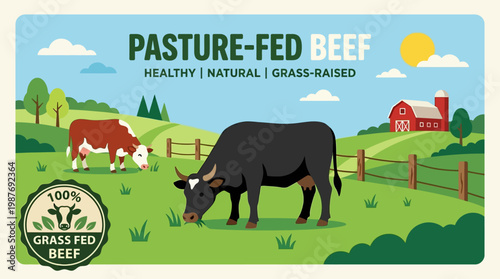 Pasture fed beef from healthy natural grass raised cows in a green field