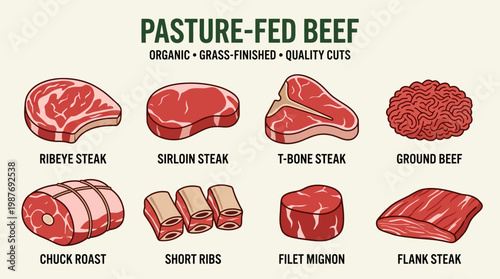 Pasture-fed beef cuts including ribeye steak, sirloin steak, T-bone steak, ground beef, chuck roast, short ribs, filet mignon, and flank steak for culinary use.