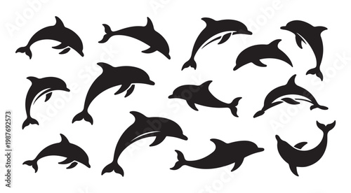 Dolphin silhouettes in active poses for marine life and aquatic animal theme designs.