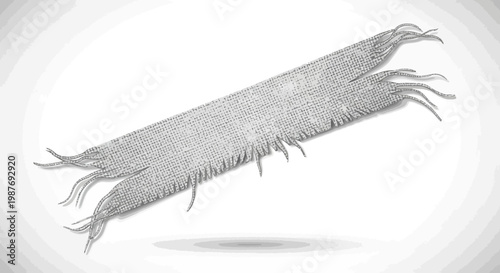 Abstract textured object, resembling a centipede or fibrous material, isolated on white