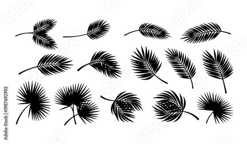 Black palm branch silhouettes horizontal set tropical leaf twigs collection for decorative nature design