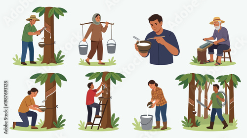 People collecting sap from palm trees for food production process