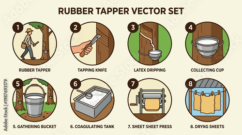 Rubber tapper vector set showing the process of tapping and collecting rubber