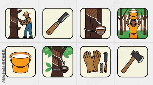 Collecting maple syrup with tools and buckets in a forest setting every day