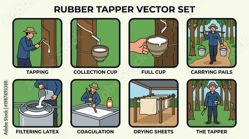 Rubber tapper collecting natural latex from trees in a forest setting for rubber production process
