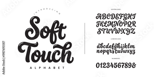 Slika na platnu Soft Touch Retro Script Font for Vintage Logo Design and Elegant Luxury Branding