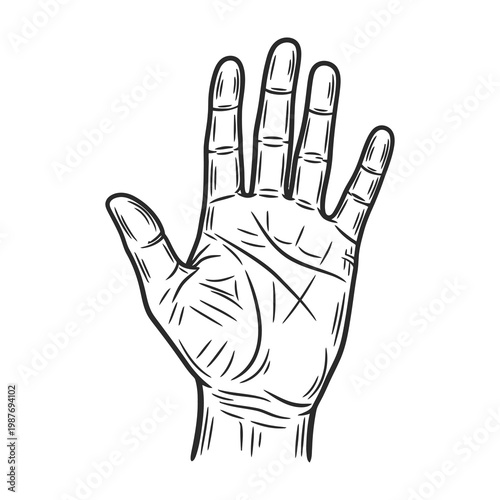 Palmistry hand with x mark on palm