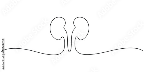 Continuous One Line Drawing of Human Kidneys Silhouette for Healthcare and Nephrology Wellness Concept, Minimalist Single Line Art of Human Kidney Anatomy for Medical Education and Urology Design