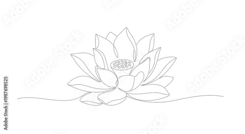 Minimalist Lotus Flower Line Art Drawing, Single Continuous Line Sketch