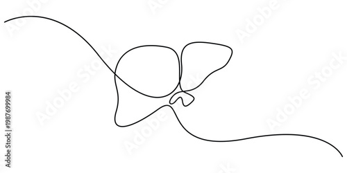 Continuous line drawing of human liver internal organ minimalist vector illustration Human liver silhouette in one line art style for healthcare and medical clinic branding Minimalist anatomy of liver