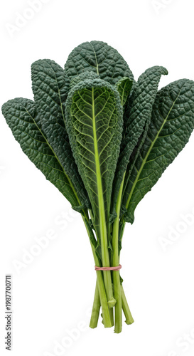 Fresh bunch of green kale.