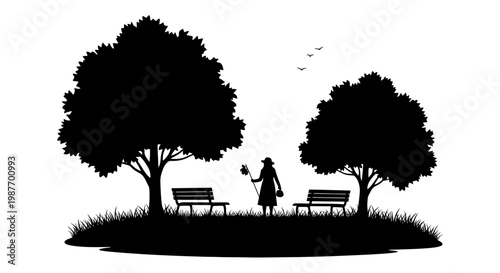 Silhouette of woman in a peaceful park with trees and benches