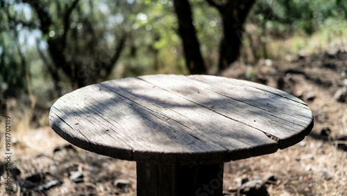Rustic Wooden Garden Table: Weathered Round Top in Natural Outdoor Setting