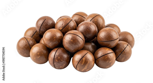 Vector illustration of a pile of whole macadamia nuts in their shells on a transparent background