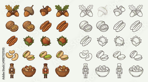 Collection of colorful and monochrome illustrations of various nuts and nutcrackers, presented in rows.