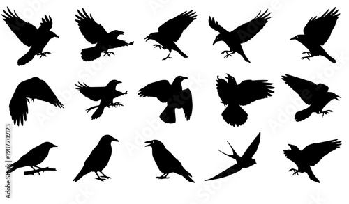 Bird silhouettes icon set with flying and perched birds black vector collection isolated on white background