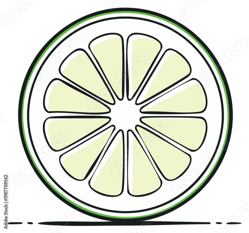 Illustration of a sliced lime fruit showing the segmented flesh and rind