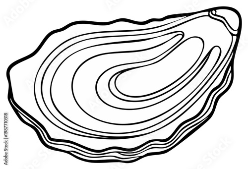 Clean Line Art Illustration of an Open Oyster Shell Seafood Food
