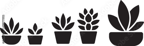 5 Potted houseplant icons representing different succulent and leafy indoor plant