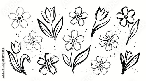 Botanical floral decorative elements set in a brush sketch style, spring blooms, elegant foliage, petals, and buds