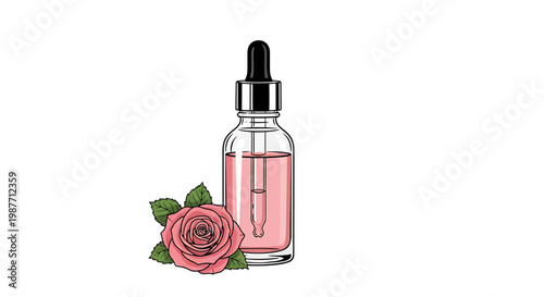 Rose Essential Oil Dropper Bottle and Pink Rose Illustration