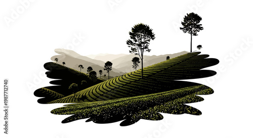 Stylized Vector Landscape of Terraced Green Tea Plantation