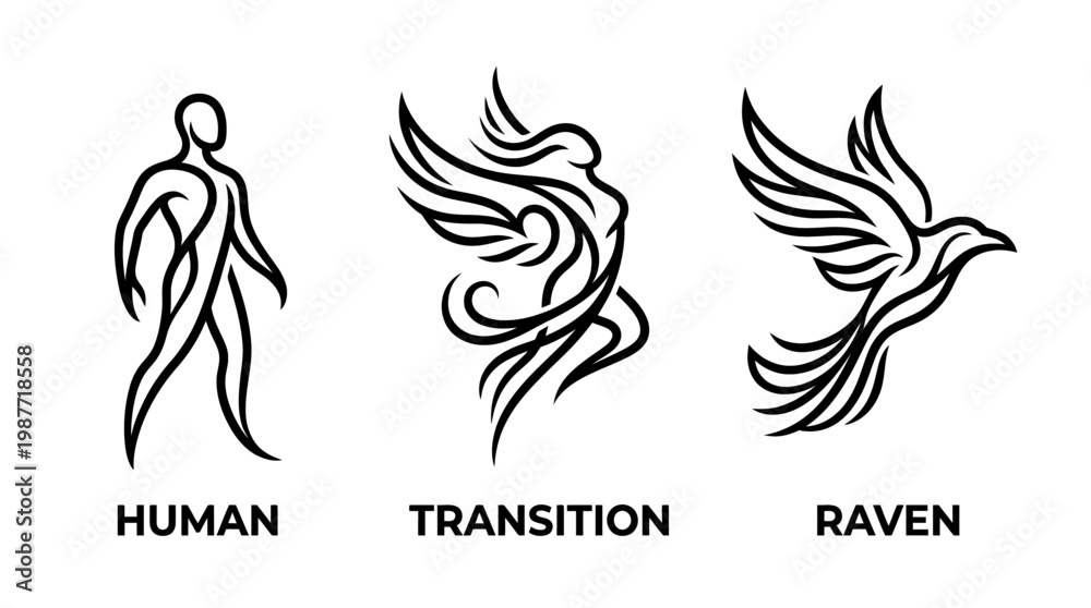 Obraz premium Minimalist Line Art Symbolic Progression Human Transition Raven