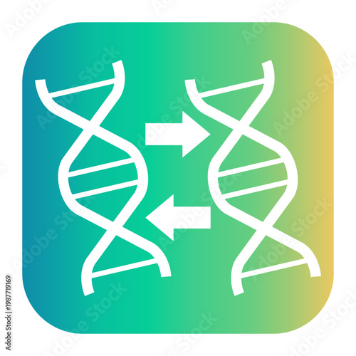 duplicate Gradient icon