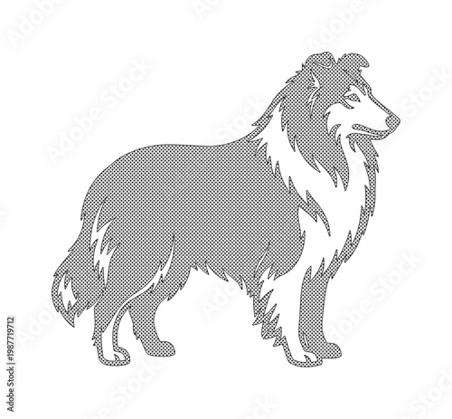 Shetland Sheepdog vector silhouette, long-haired Collie dog breed illustration, standing Sheltie profile icon for pet branding and veterinary logos