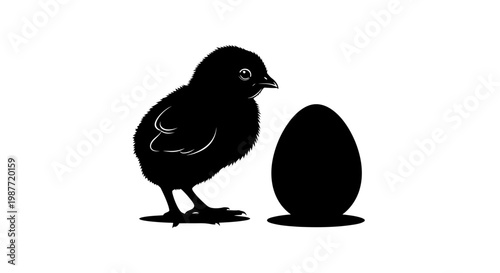 Black silhouette of a chick and egg vector illustration